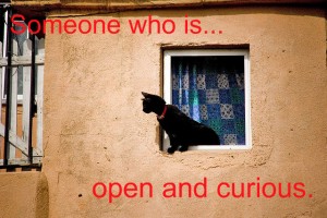 cat open and curious